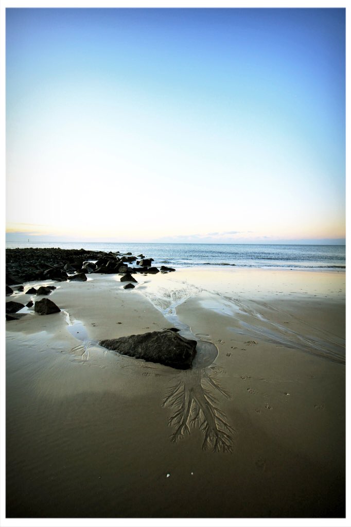 Meerhund 🌊🐶⚓️ tweet media