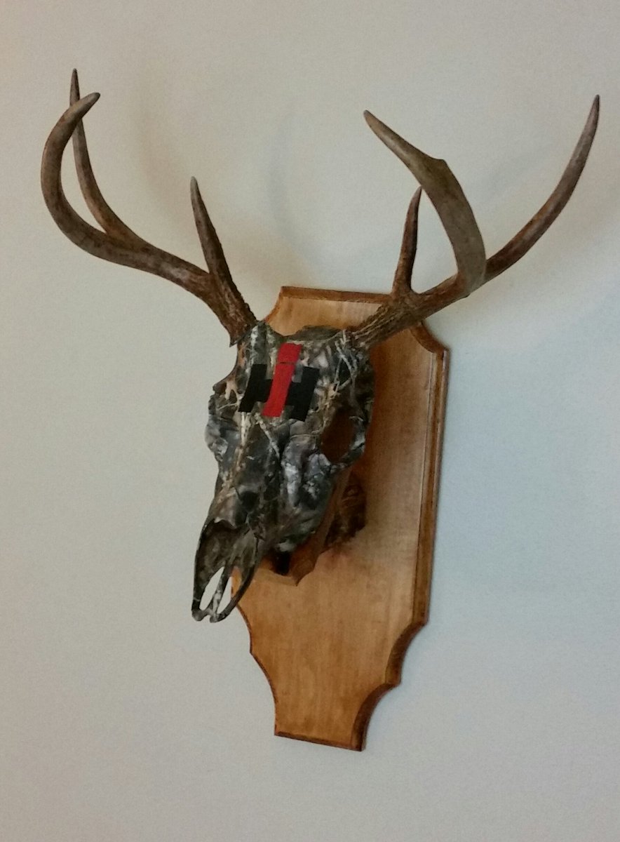 NTOutdoorsMatt's tweet photo. A cool mount I did for a farm kid's first archery buck! #wisconsin #lostcamo https://t.co/YP8r4mv3P7 #skullmounts https://t.co/UiDpssfy2t