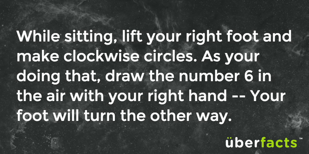 UberFacts tweet media