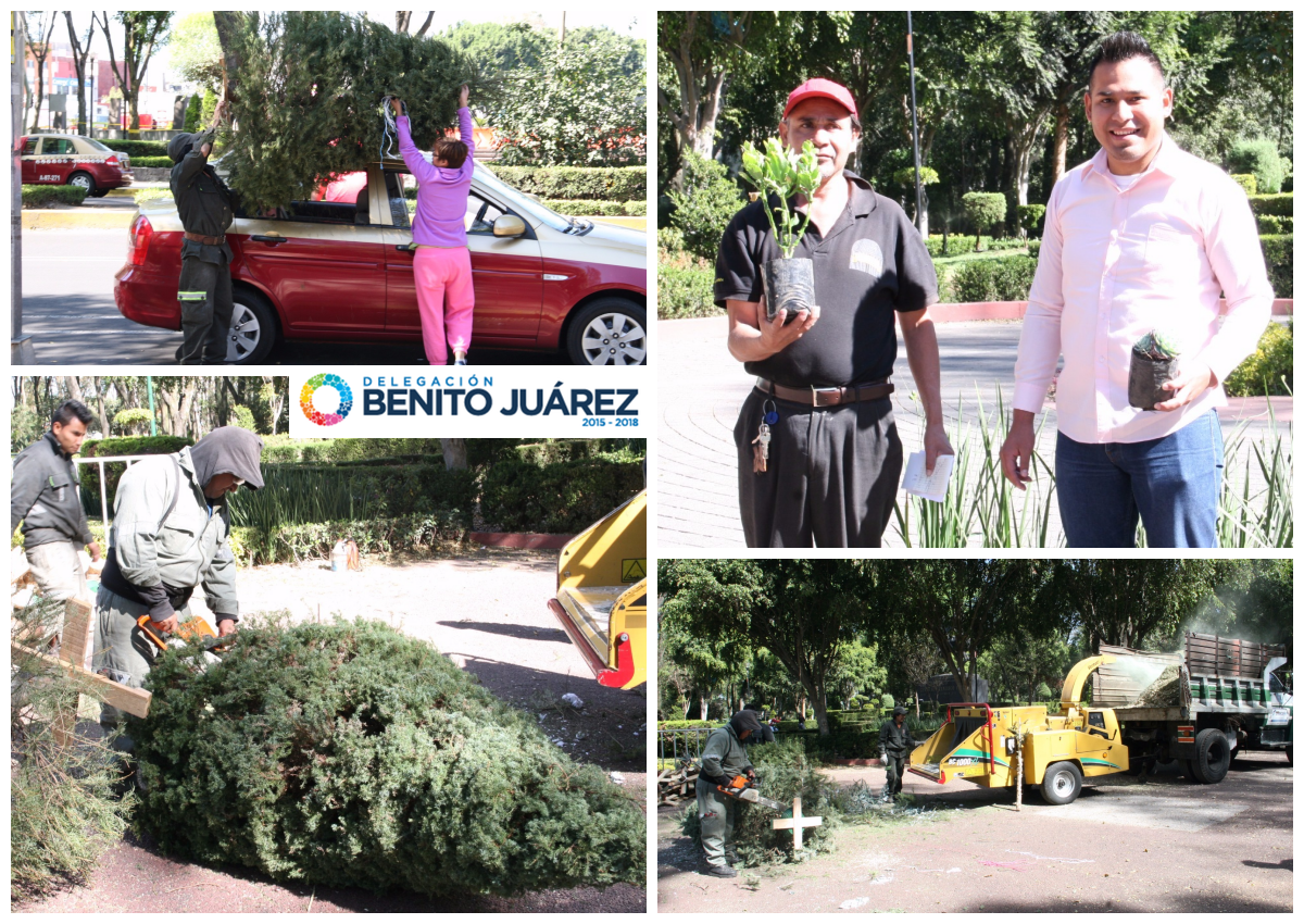 Alcaldía de Benito Juárez tweet media