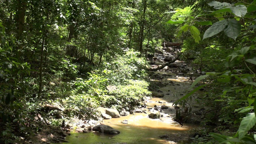 EmpireOfRelax's tweet image. goo.gl/6kemZ5 --&amp;gt; 13 hrs. &quot;Real&quot; Full Day Video ... #BackgroundMusic #LongNature #MusicForLearning