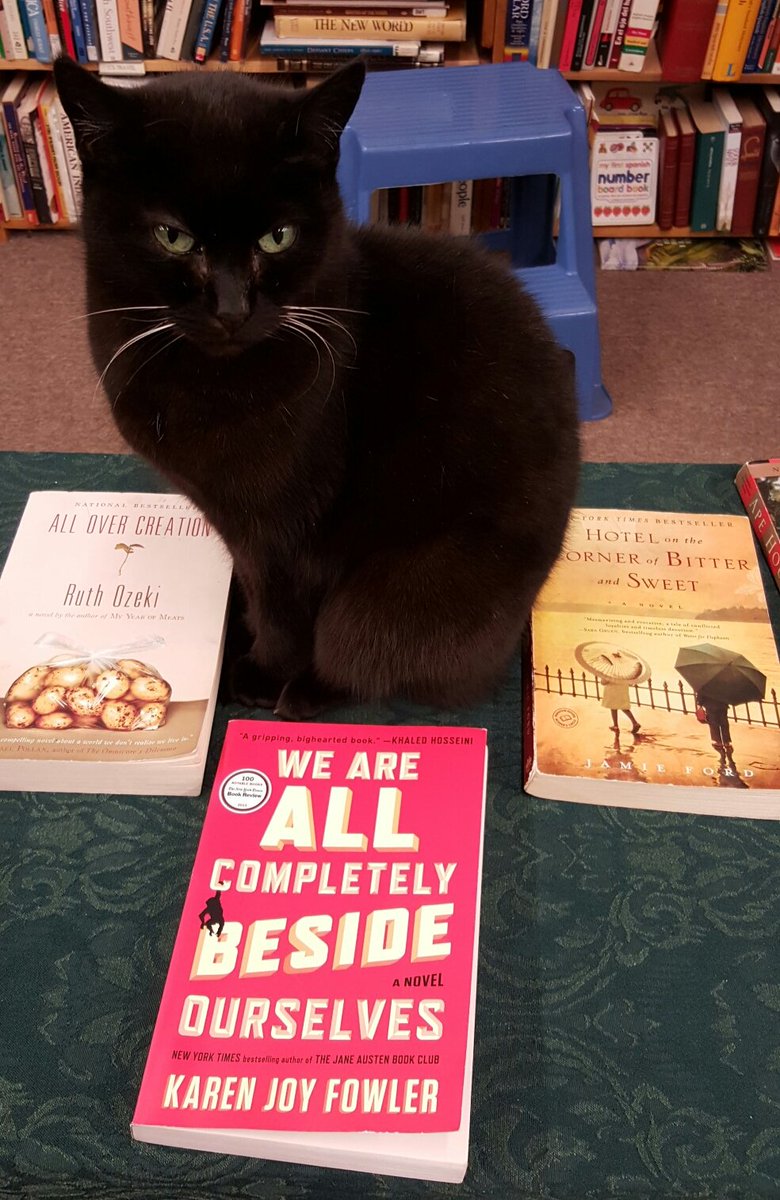 Good taste, Bookstore Cat, good taste. @ozekiland @JamieFord #karenjoyfowler