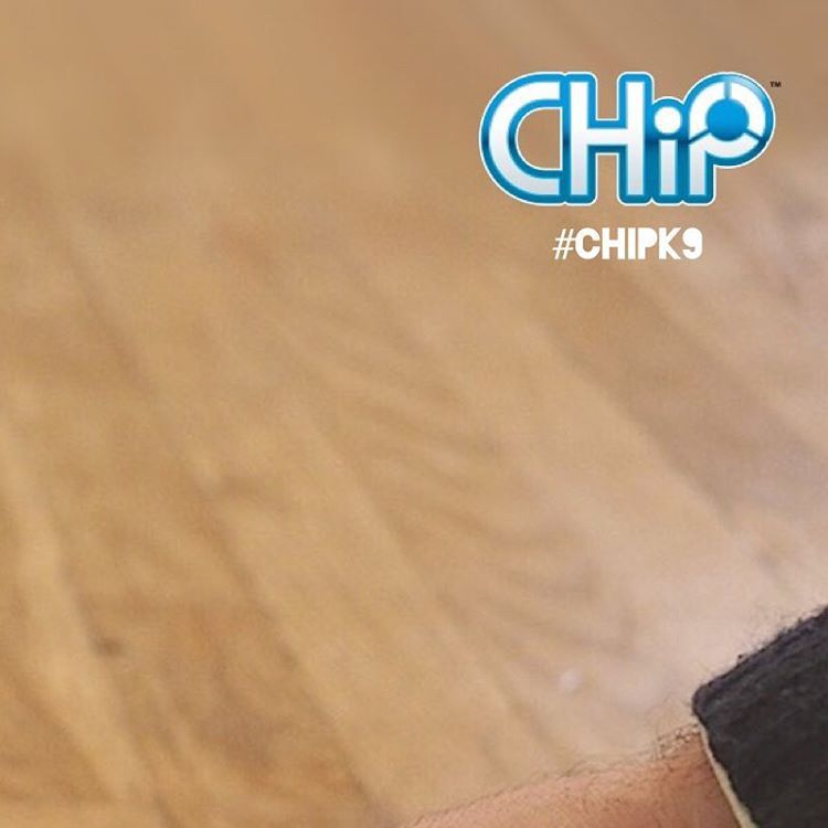 Otherbots's tweet image. Because CHiP is super sleek, you'll never have to take care of furry messes again. #CHiP #CHiPK9 #cooltech #robot #…