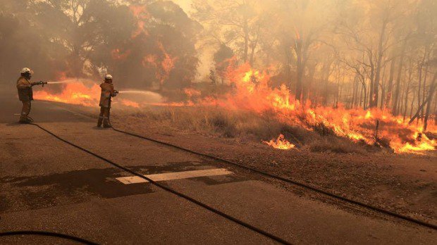 WAtoday's tweet photo. South West fire zone expected to be declared a natural disaster https://t.co/Tw5Sebu9UR #waroona #yarloop #wanews https://t.co/tt5aXgzWPn