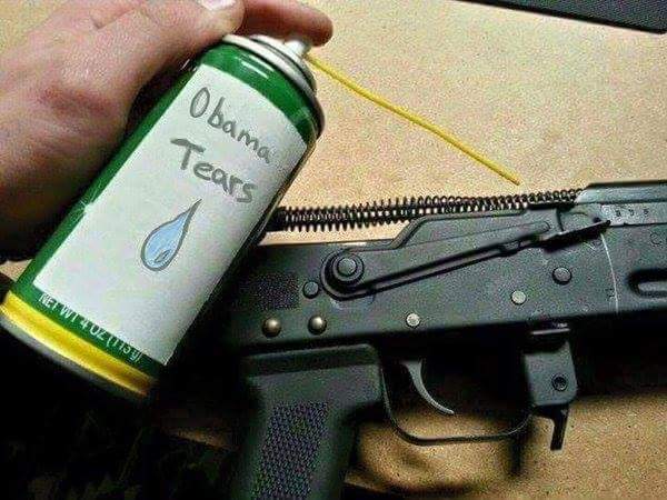 BossHoggUSMC's tweet photo. How about background checks for Syrian refugees (and Obama) first?
 #GunsInAmerica https://t.co/TOe2yNUM1p