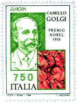 Golgi_Locks's tweet photo. Camillio Golgi, The scientist the golgi apparatus is named after, received a Nobel Prize
#yoo #cellection2016e https://t.co/90kKStzEiq