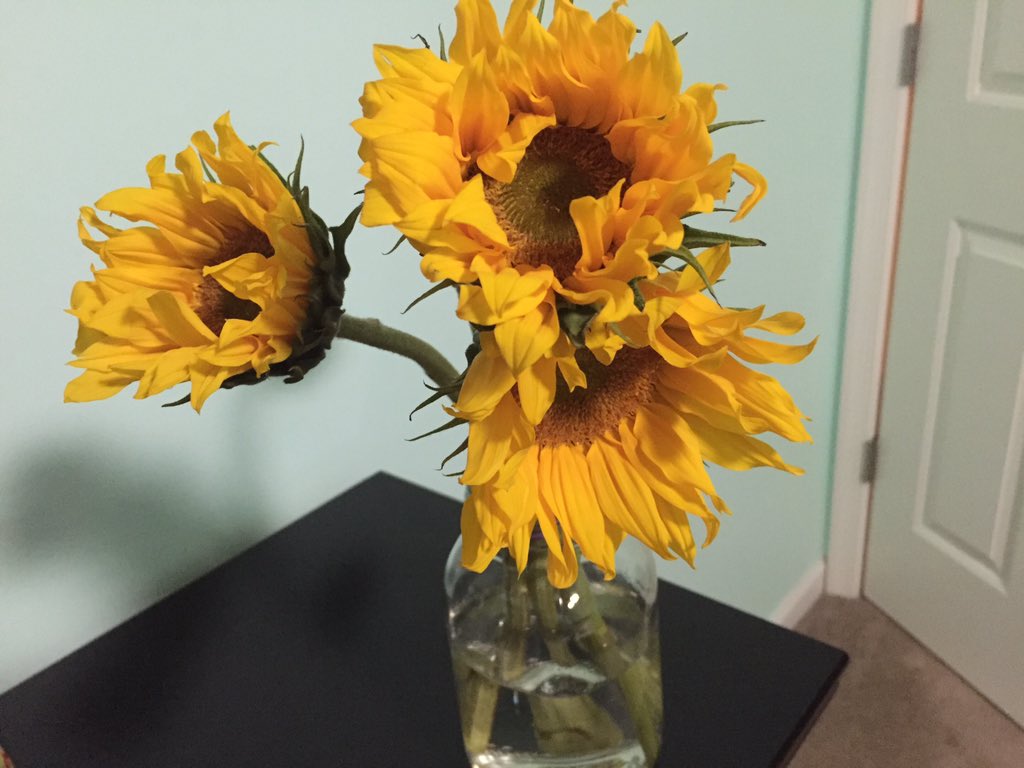 _alexthe_lion's tweet photo. He loves to surprise me😍🌻😘 https://t.co/1Ep5AccNxJ