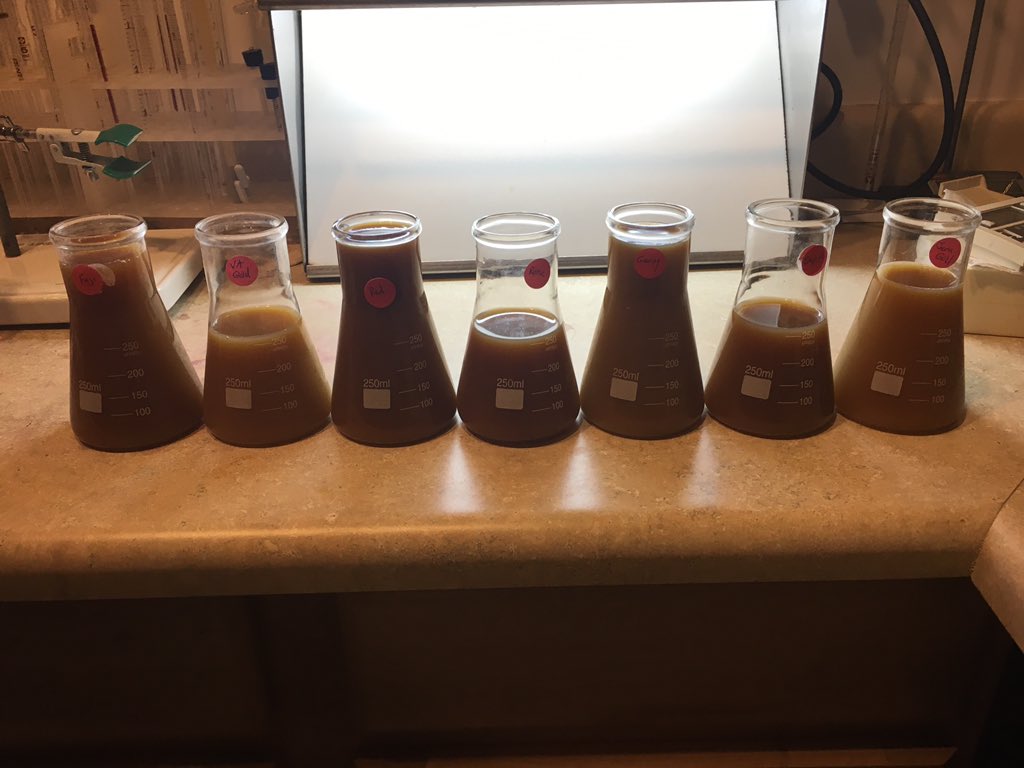 RVACider's tweet photo. Apple varieties crushed for blending! https://t.co/8wp8Hg5oxS