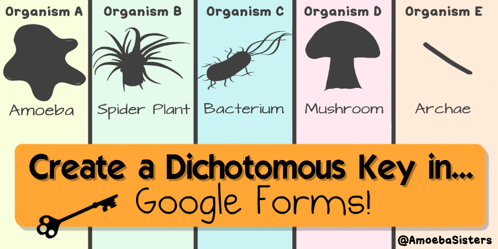 video-recap-of-classification-by-amoeba-sisters-newheader-biology-eukaryotes