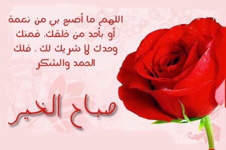 المتوكله على الله (@sams756) on Twitter photo 