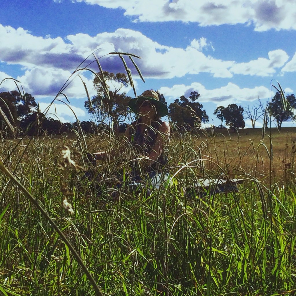 Meg Parsons tweet media