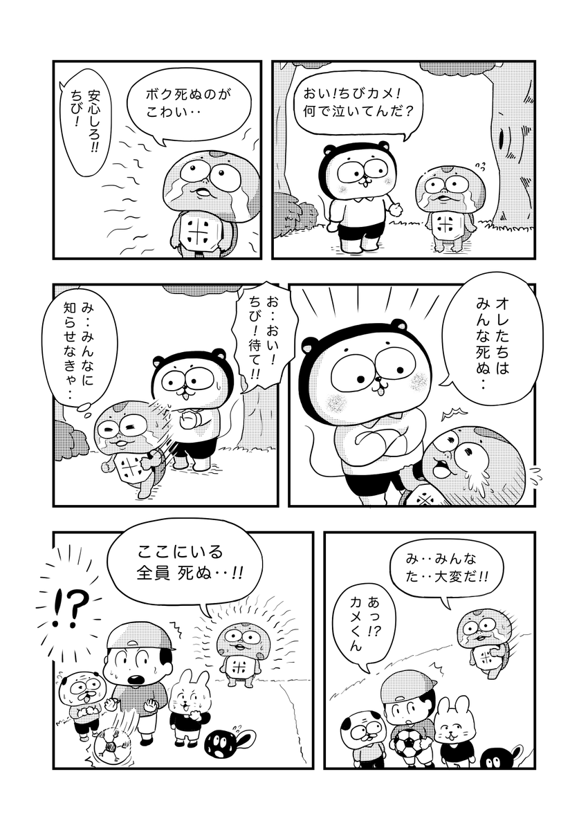 今日のカメ漫画013「カメくんのお知らせ」
#4コマ  #イラスト #絵描きさんと繋がりたい 