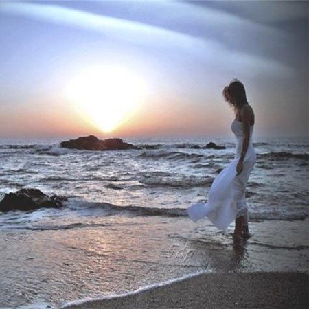 ✪ Amore ✪ tweet media