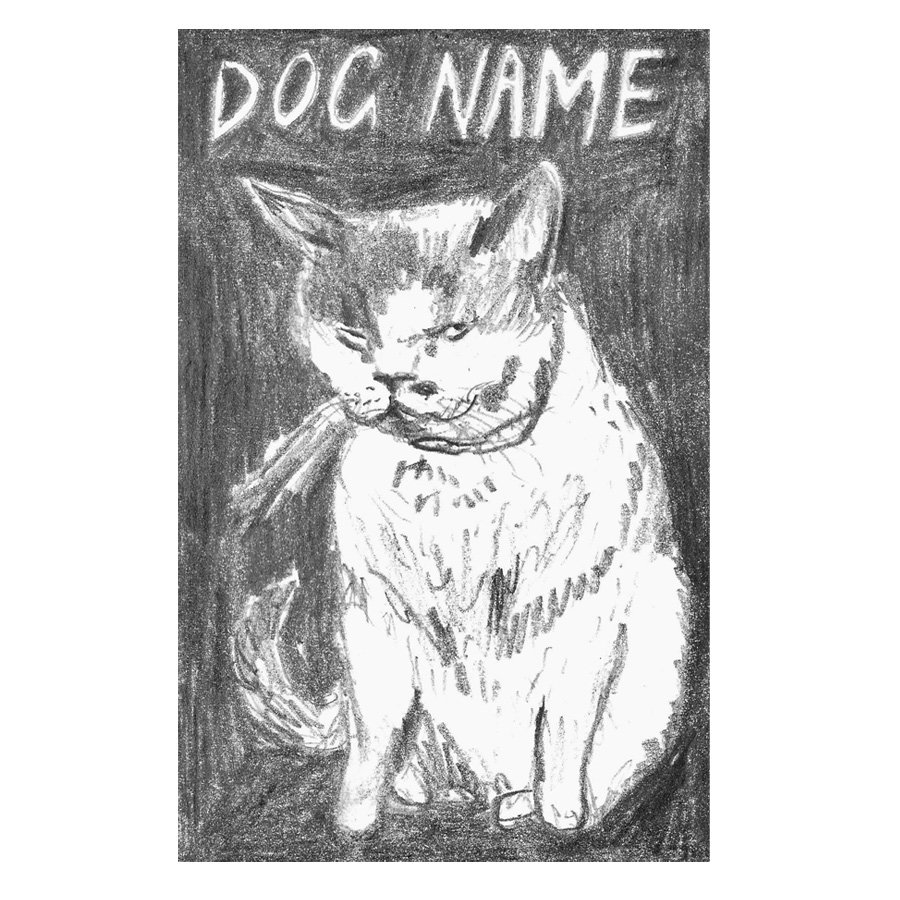 Cinnamon Records tweet media