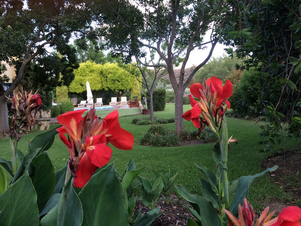 @SamuelFrauens <a href="/classymommy/">Colleen Padilla</a> @ImpactTraveller <a href="/Globerovers/">GlobeRovers Magazine 💯</a> <a href="/SafariTart/">SafariTart aka Carrie Hampton</a> surrounded by beauty# villatarentaal #tulbagh