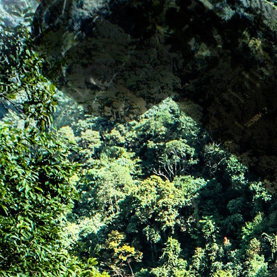 TravelDealsInt's tweet photo. Worlds Cheapest Flights: https://t.co/7GLAWdIdu1 #nature #laos #tadfane #travel #roam #bigpicture #tree #green #my… https://t.co/ChWAPJtp3Z