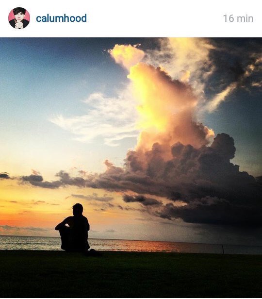 ID5SOSFAMS's tweet photo. Calum posted this on instagram https://t.co/ybriSteSMz