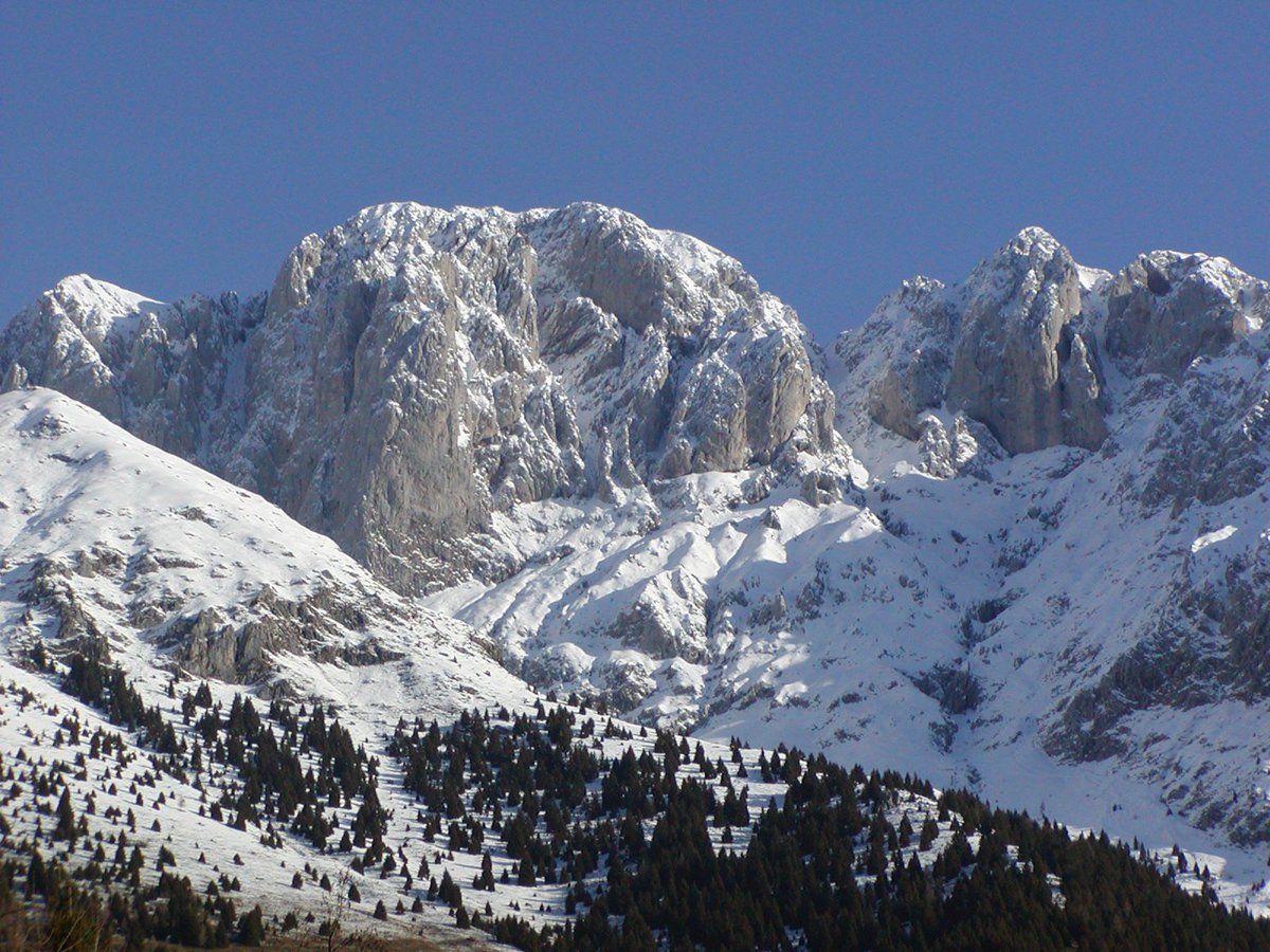Oltre a quello candito, provate il gran panettone innevato della #Presolana! #visitbergamo #italy #inlombardia