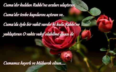 ufuksaglik_sen's tweet photo. Allah’ım;bizleri rahmetinin engin lütfuyla bağışla, bize merhamet et ve sırat-ı müstakimden ayırma. Hayırlı Cumalar https://t.co/Hn4Y2PA4hZ