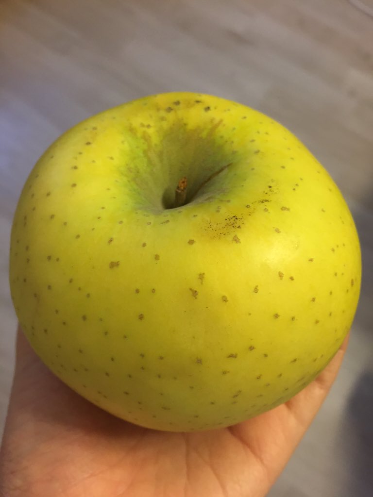 Enlace permanente de imagen incrustada