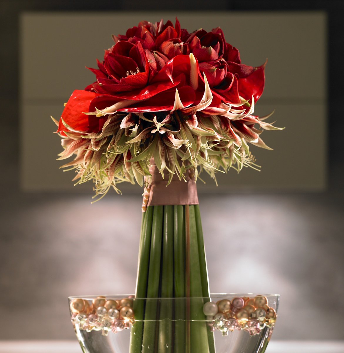 Lang genieten van #Amaryllis?! Kijk op amaryllisinfo.eu voor verzorgingstips!