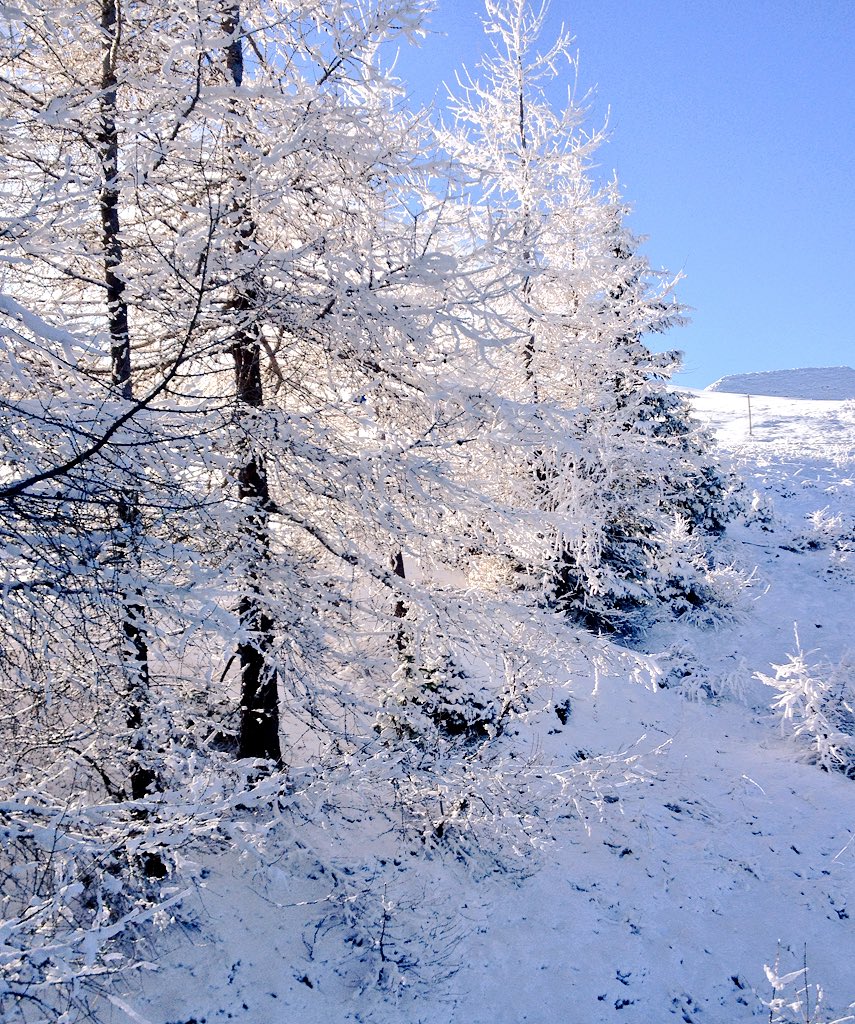 oliviaabt's tweet photo. Endlich Schnee 😍😍😍😍 https://t.co/DlWCsL8ihR