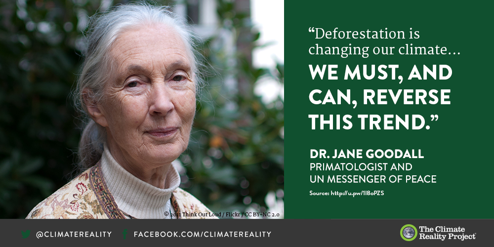 ClimateReality's tweet photo. It’s time to stop monkeying around on climate change. Retweet if you agree with Dr. Goodall! #ActOnClimate https://t.co/gkFvs9lqkK