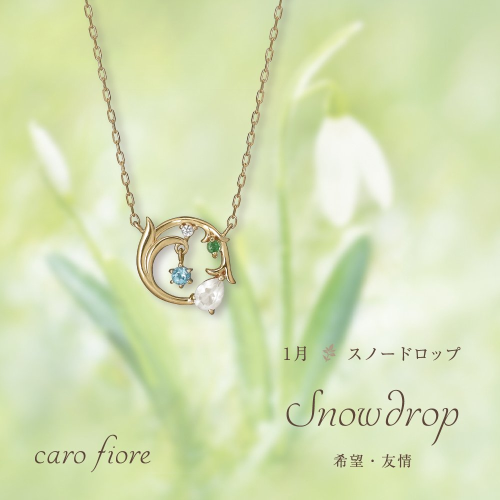Take Up テイクアップ No Twitter 誕生花ジュエリー Caro Fiore 1月 スノードロップ スノードロップの花言葉は 希望 友情 もう一つの1月の誕生花 ウメ も好評発売中です T Co 7rdkhzsxkx T Co Q7iuutjhs5