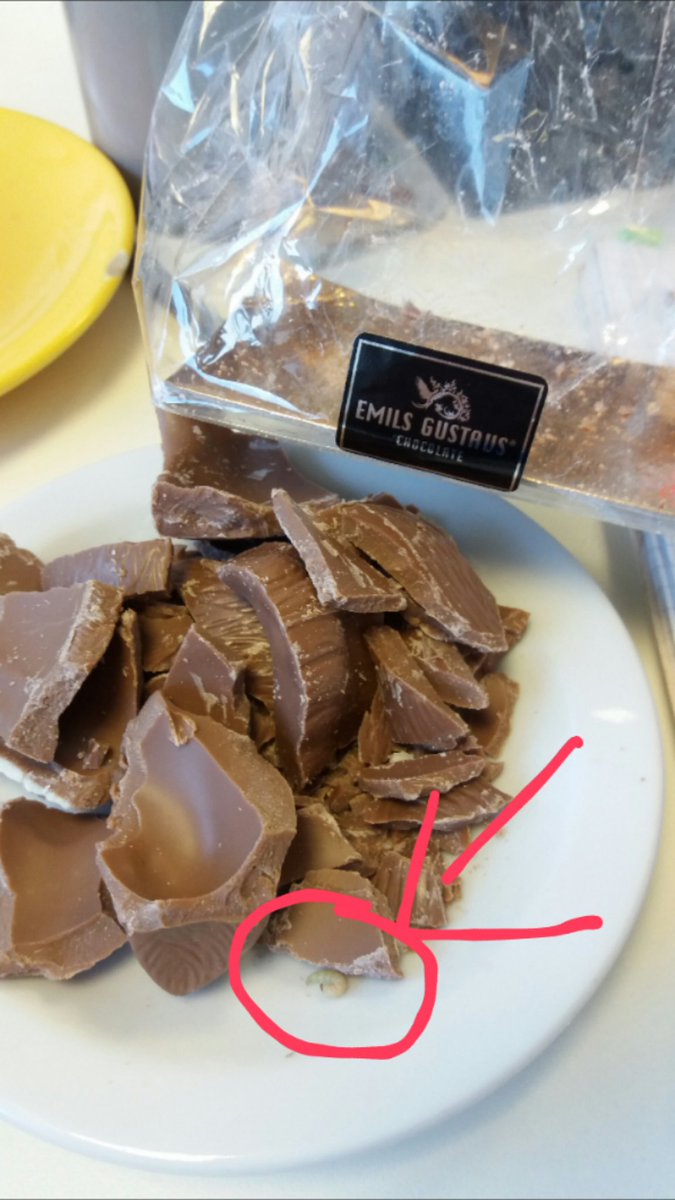 barente's tweet image. With @emils_gustavs you not only get chocolate but a pet for free...and probably food poisioning #foodpoisoning