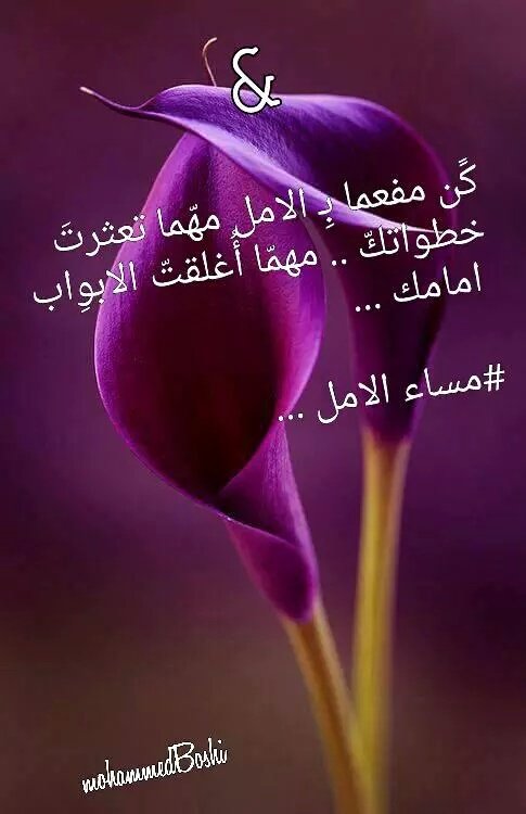 ملك الاحساس tweet media