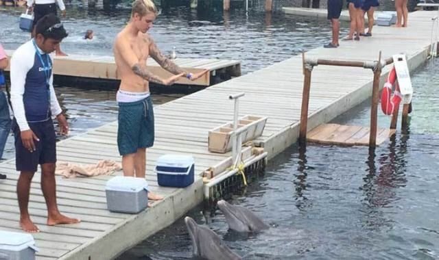 putzthats's tweet photo. Já tá se achando até o instrutor  #askbelieber https://t.co/essVD6vGGy