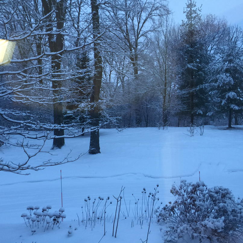 View from the Fast Wax office this morning