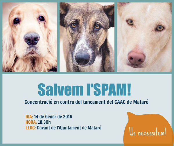 Tots els mataronins hi heu d'anar! Ajudem a la <a href="/protemataro/">protemataro</a> Ens farem escoltar! <a href="/protemataro/">protemataro</a> <a href="/DBotePaz/">David Bote Paz</a> #Mataró
