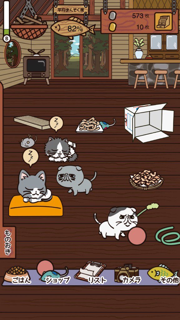 EIGHT_R's tweet photo. なでて、ごはんあげて、遊んで♪個性豊かな猫たちをおもてなし！
 #注文の多いブサ猫軒
 https://t.co/GD4gyD08Rw https://t.co/hyrMzR2CBe