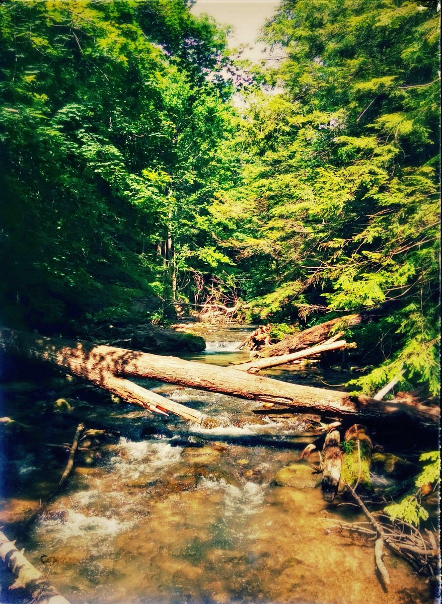 DanielleCarrei1's tweet photo. @OntarioTravel Adventure is always waiting to be found #adventure #hiddenhideaway #CarreiroPhotography #nature https://t.co/mzdIYMK138