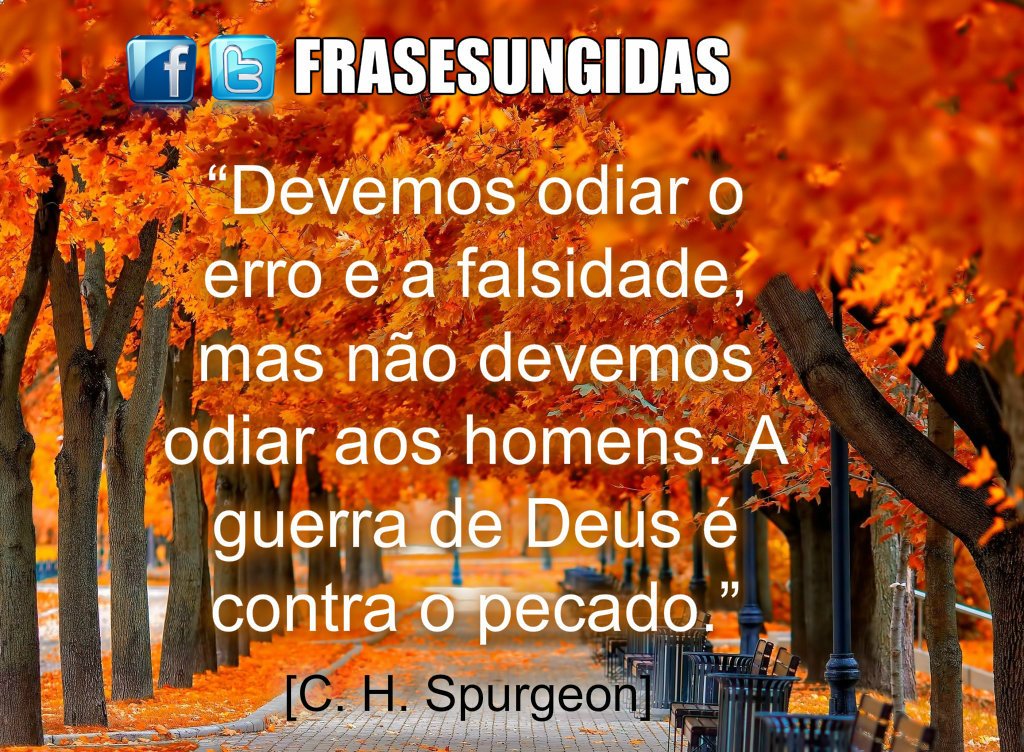 FrasesUngidas tweet picture
