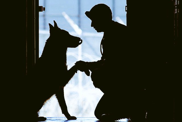 Don1JC's tweet photo. Thank you for always being there,
#USMilitaryStrong๐บ๐ธ https://t.co/gQU04V6vyM
