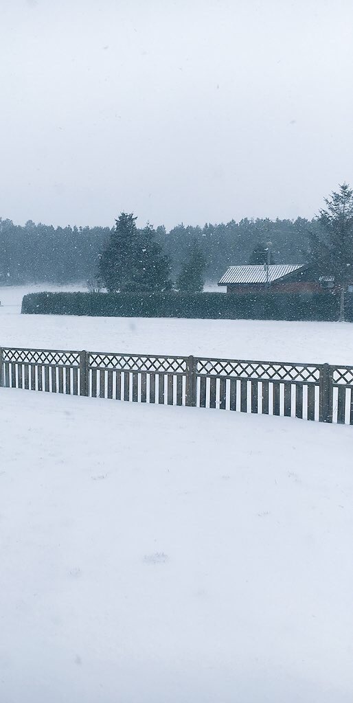 11Calcio11's tweet image. Grateful for the possibility to work at home, when everything looks like this #Snow #BeautifulButCold