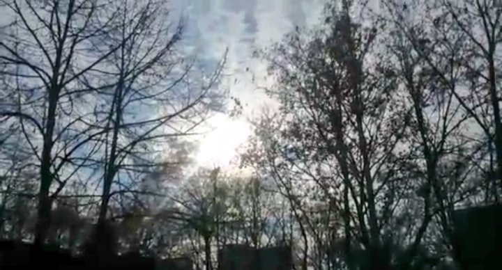 JelenaMKandic's tweet photo. Lep i sunčan dan.🌞🌅🌞 #Beograd 🌇 & #Srbija 🔴🔵⚪.
#OrthodoxChristmas #2ndDay #HollyMother #VirginMerry https://t.co/hmpGCxuPZV