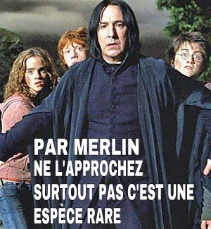 NaginiOff's tweet photo. -T'aime bien Harry Potter?
-C koi?
- https://t.co/LfRjKjMTy6