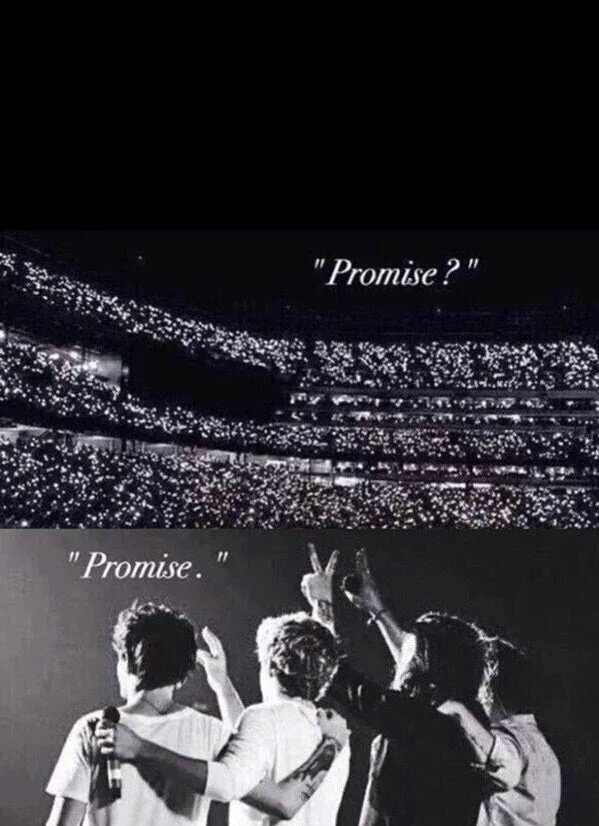 EisabethAlvarez's tweet photo. Io ci sarò sempre ad aspettarvi #VideoMTV015 one direction https://t.co/KiJac7jhVD
