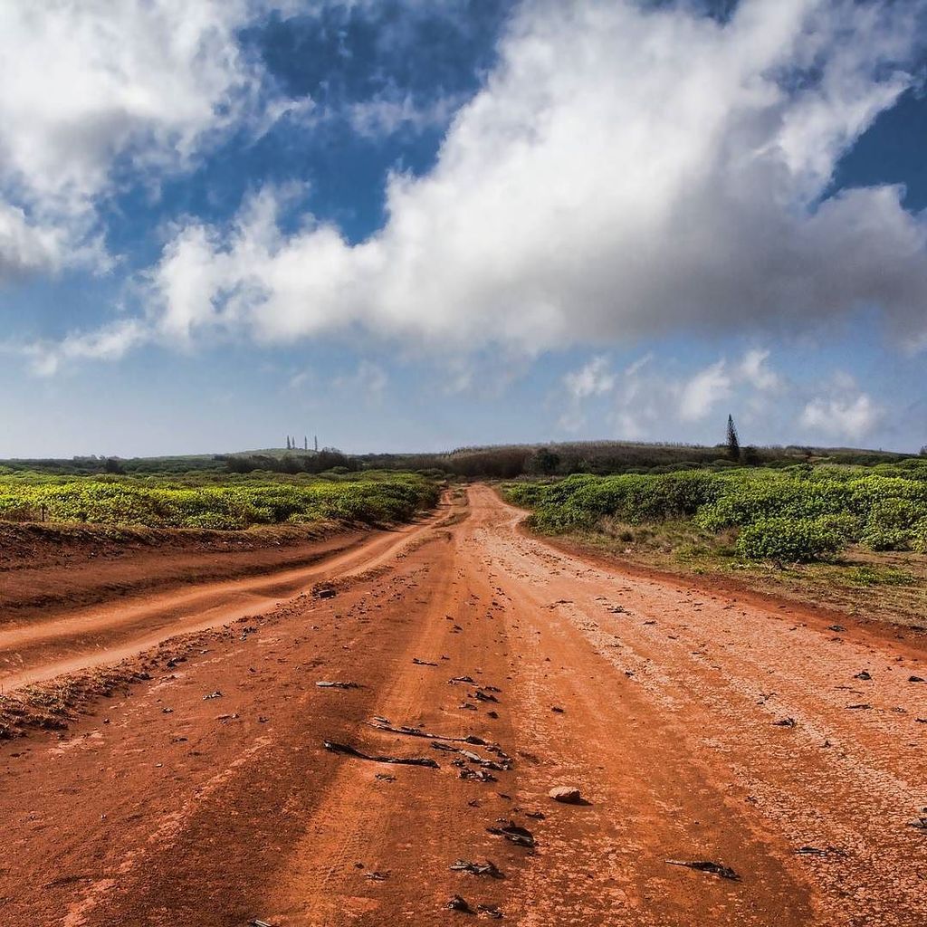 The perfect place for some off-roading fun...Lanai Hawaii! Rent a jeep and go explore Hawa… ift.tt/1n7EHwj