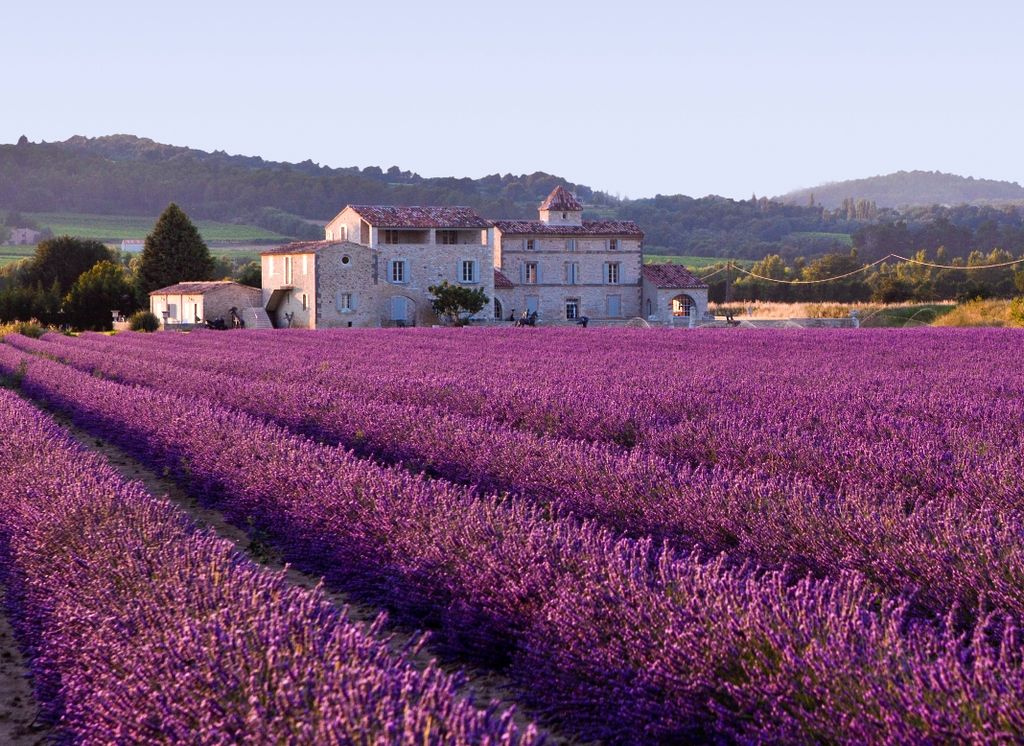 Mmm…the scent of #lavender, #navettes &amp; sea salt can all be sniffed in #Marseille tinyurl.com/hyvwoo4