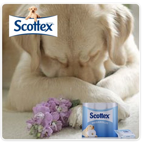 ¡No estés triste porque se terminó la Navidad! ¡Empieza el año con Scottex®!