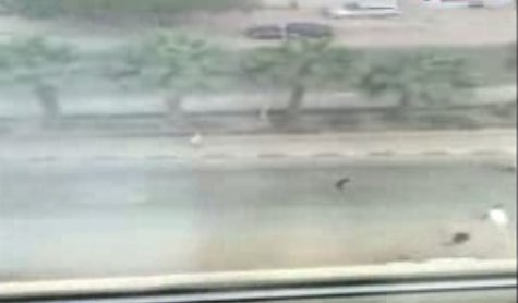 Embedded image permalink