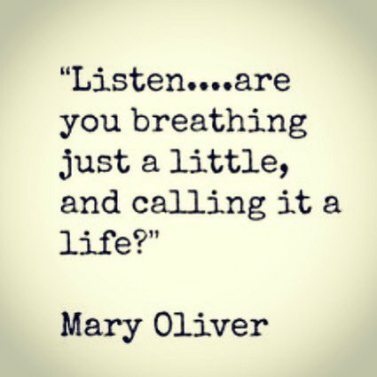 yogawithdebbie's tweet photo. Teaching my first all levels public #yoga class of 2016 noon today @bernalyoga 🙏🏻💜 Mary Oliver sounds even better t… https://t.co/EN9YL7wqxd