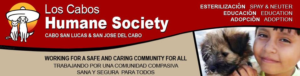 cabohumane's tweet photo. WORKING FOR A SAFE AND CARING COMMUNITY FOR ALL
https://t.co/PbASAomWi5 https://t.co/EtD91kq2kH