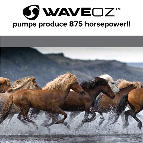 FlowRiderInc's tweet image. That's a lot of horses!  #GoWithTheFlow #WaveOz #FlowRider
Check it out for yourself ----&amp;gt; ow.ly/WLMmG