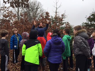 SnyderNLE's tweet photo. Deciduous  forest trees vs. coniferous forest trees..forest learning > worksheets...#classinthewoods #nle16 #lcps16 https://t.co/4nD4xJ3ogo