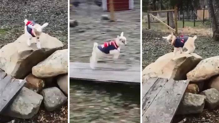 Embedded image permalink